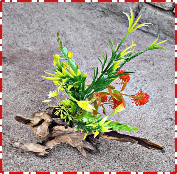 Mopani Wood with Plastic Plants