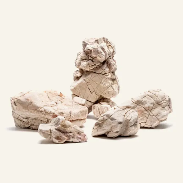 White Lava Rock